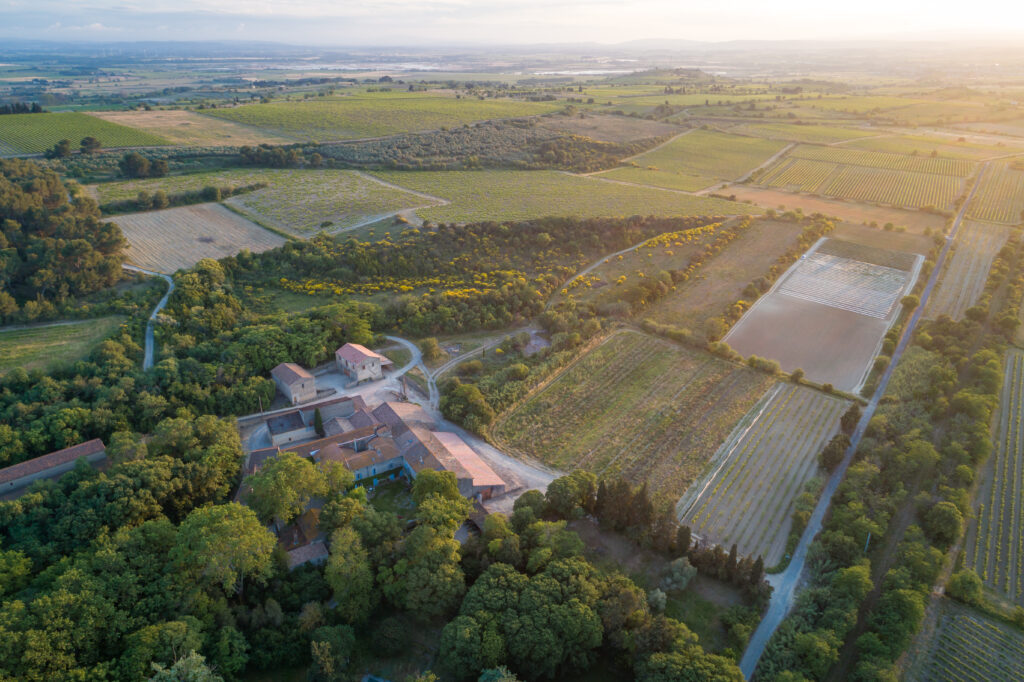 Domaine-de-soustres_domaine-vignoble