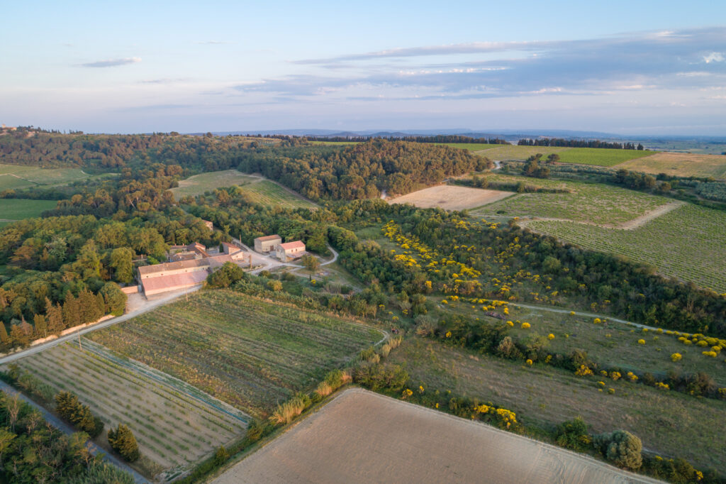 Domaine-de-soustres_berceau-du-vin