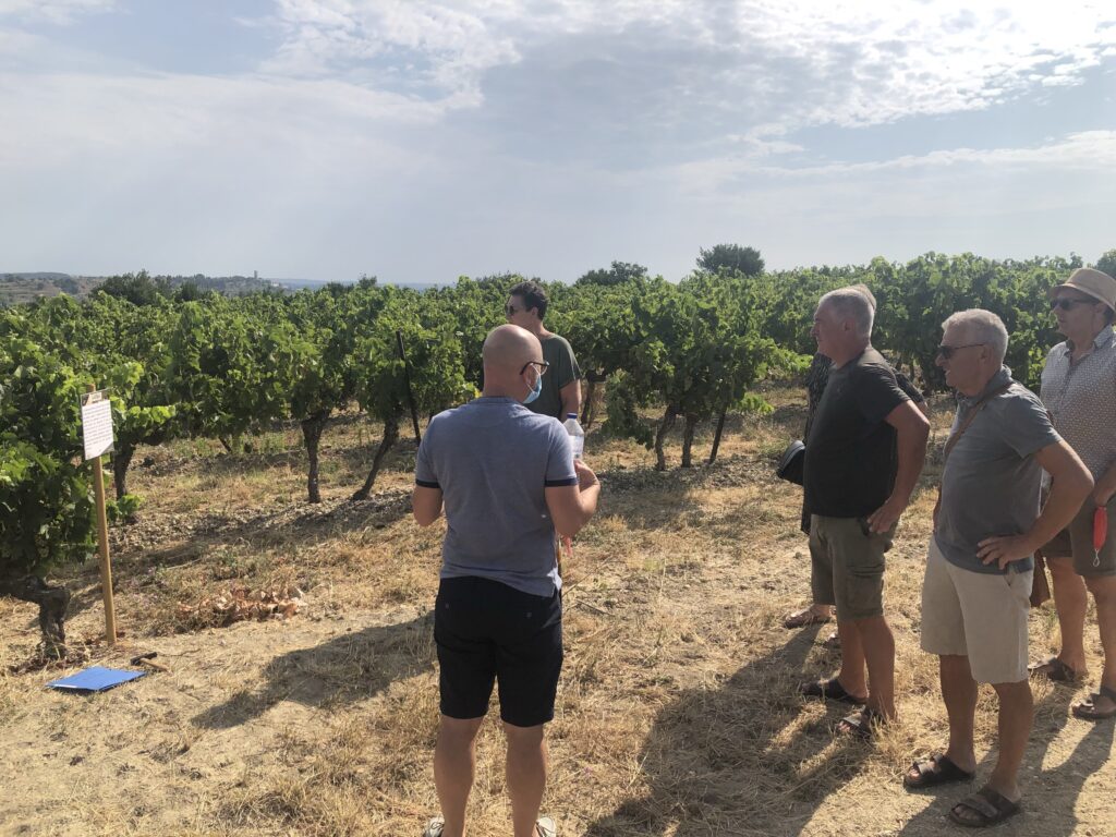 Domaine-de-soustres_Balade-vigne