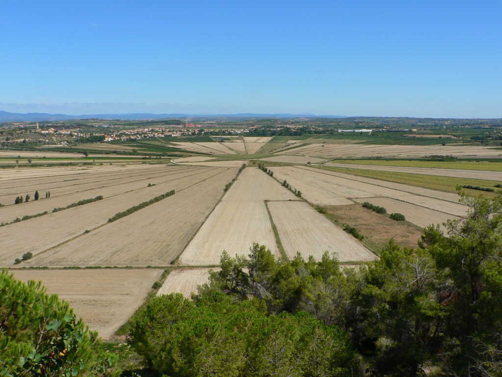 Domaine-de-Soustres-Etant-de-montady