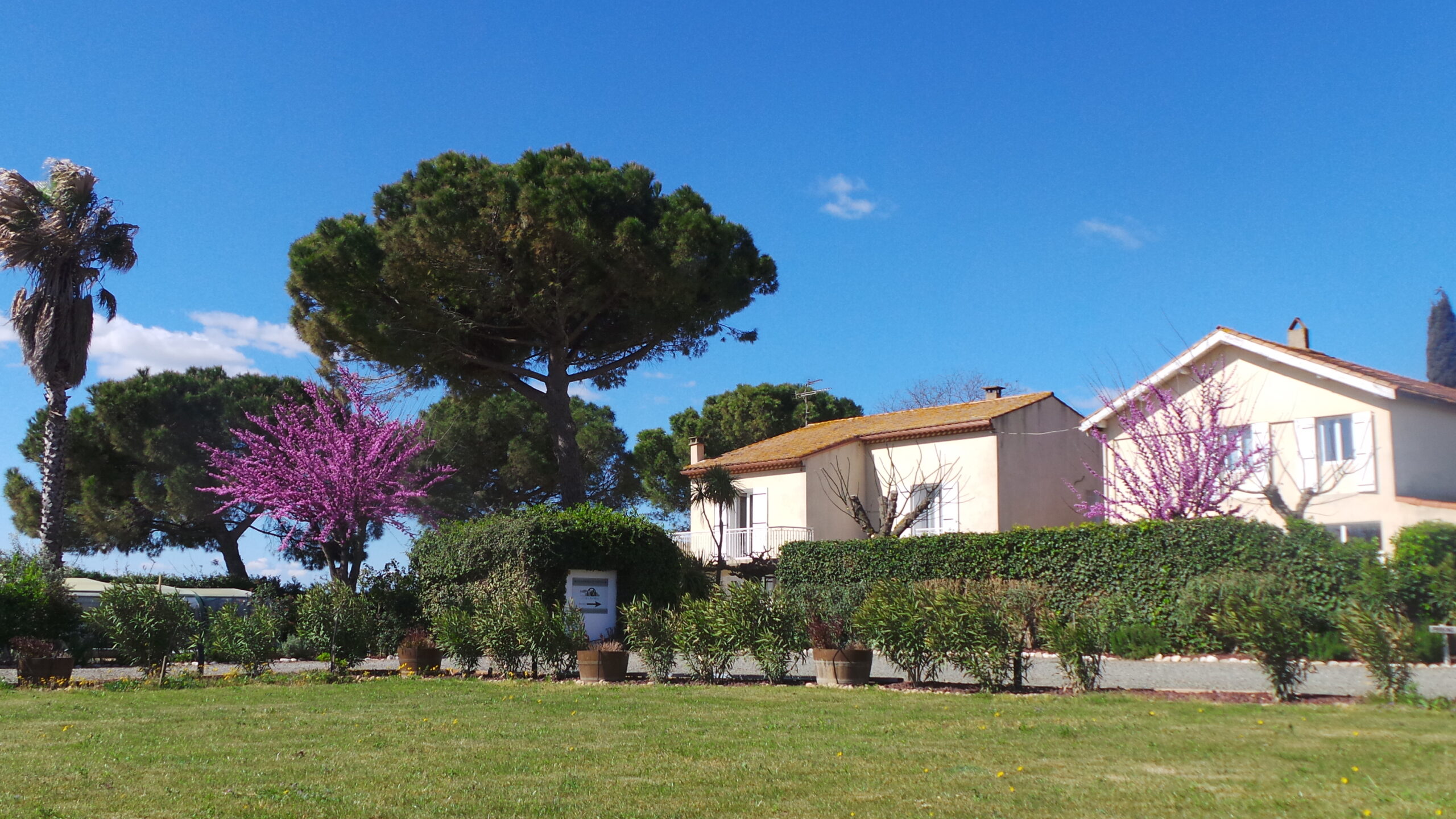 A l'orée des vignes