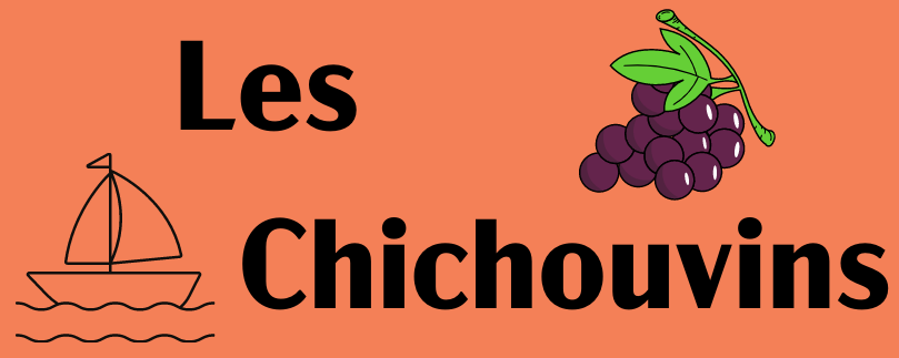 Domaine-de-soustres_chichouvins