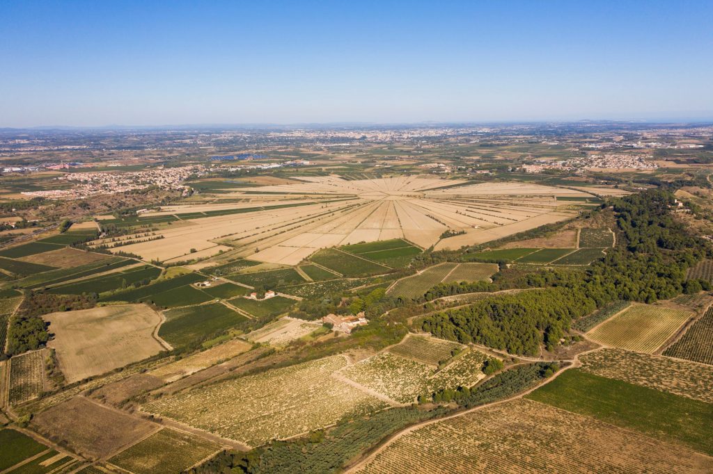 Domaine-de-soustres_etang-asseche