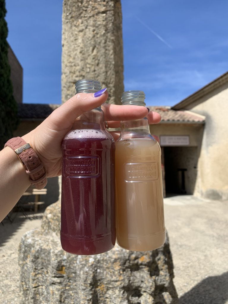 Domaine-de-soustres_echantillons-jus-raisin