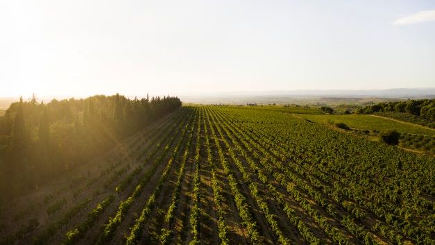 Domaine-de-soustres_climat-coteaux-enserune