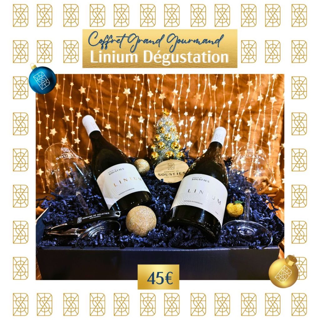 Coffret 2 Bouteilles de vin, 50 cl d'huile d'olive, 250 g d'olives